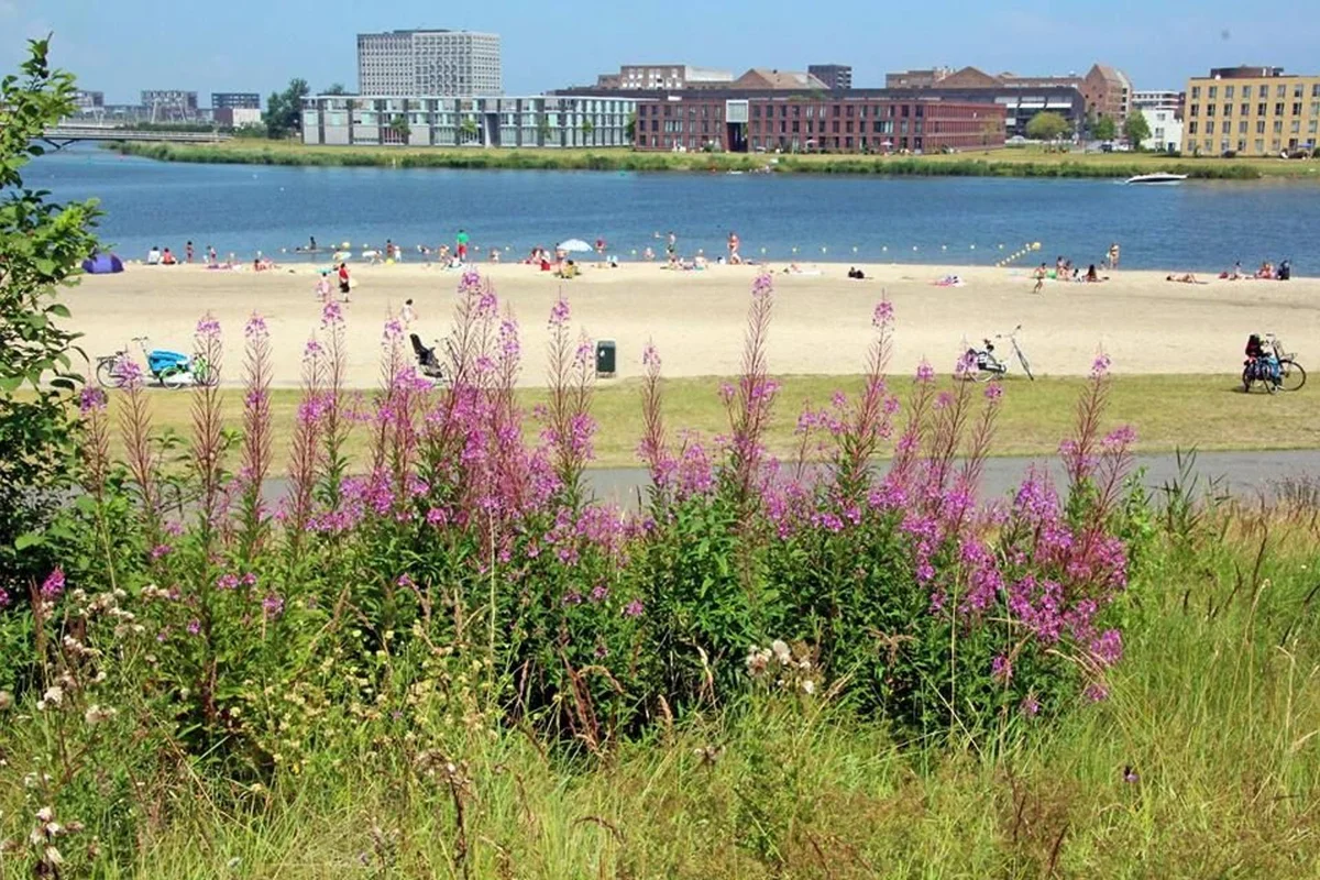 Diemerpark: een groene oase vol natuur en geschiedenis vlak bij Tuinkwartier