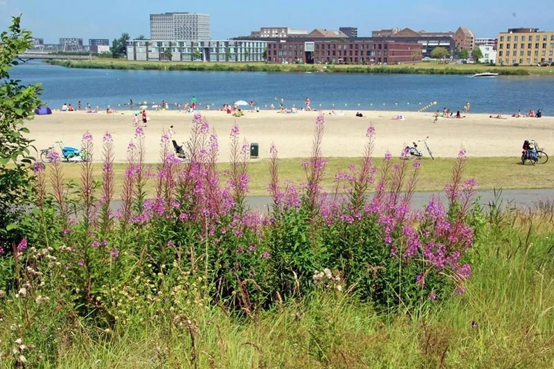 Diemerpark: een groene oase vol natuur en geschiedenis vlak bij Tuinkwartier