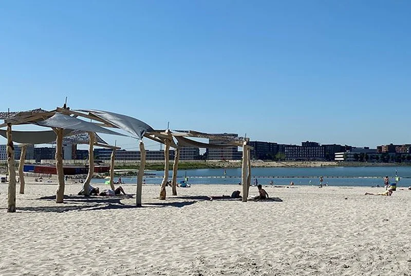 De lente in huis halen aan het strand? Dat doe je zo!